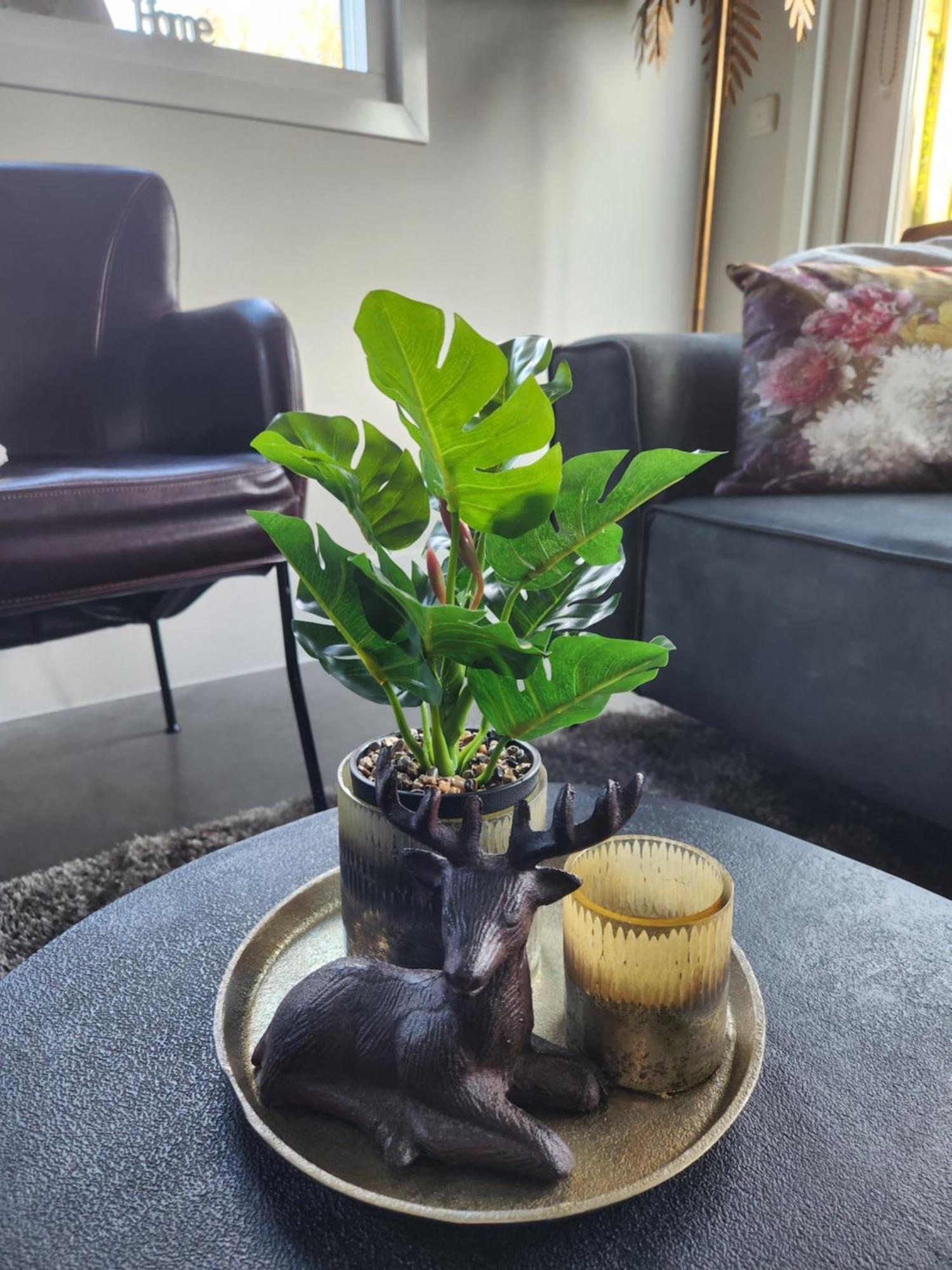 B&B Trust Barneveld Dış mekan fotoğraf